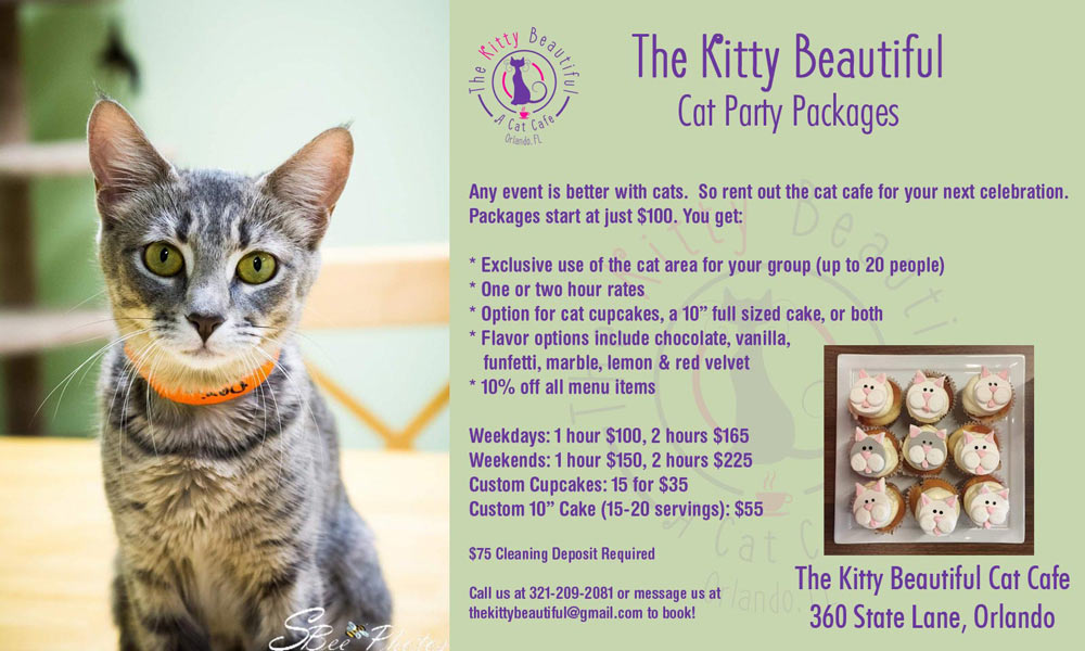 Party Packages start at $100