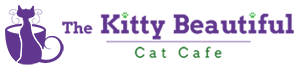 The Kitty Beautiful Cat Cafe